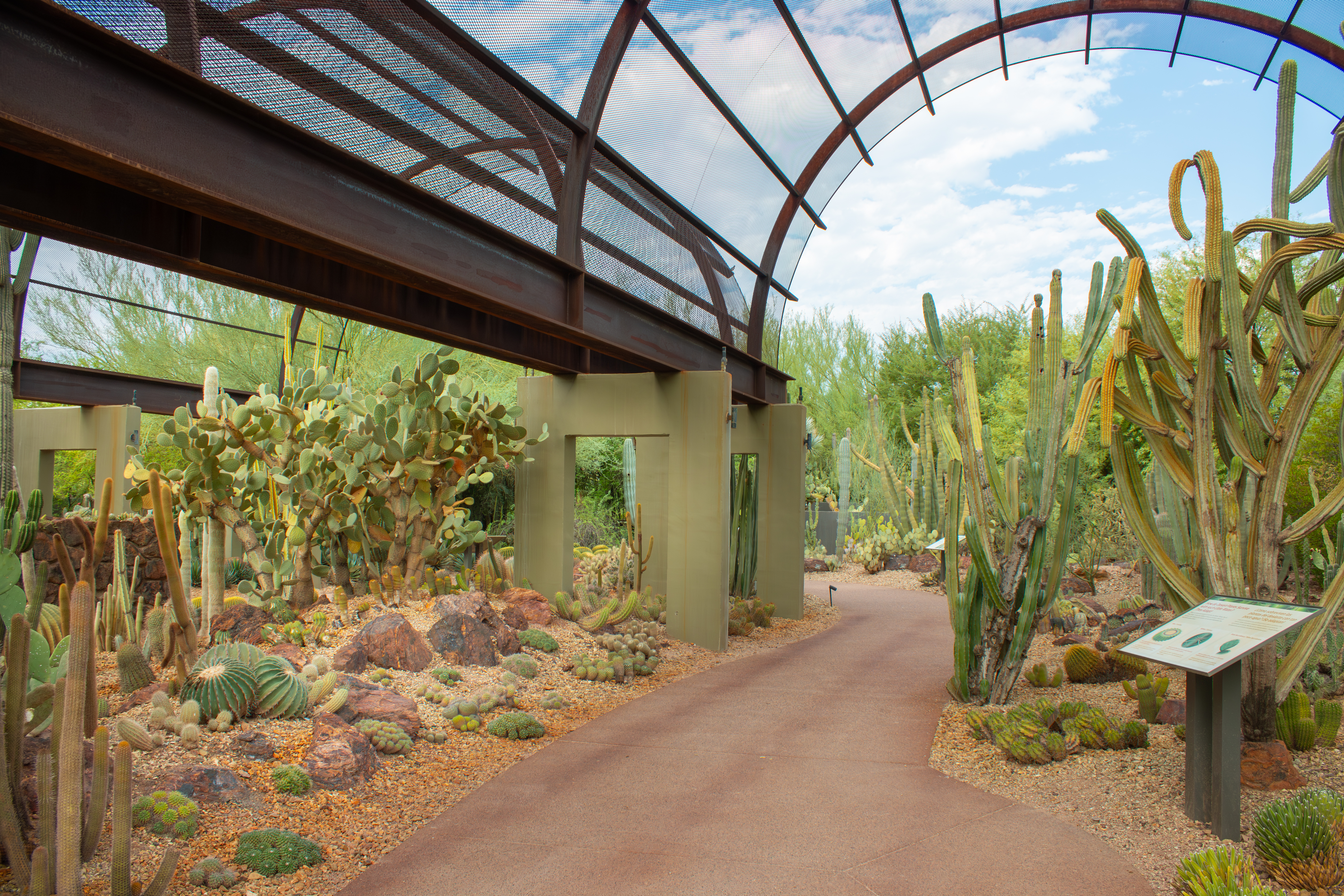 headshot of Dana Terrazas