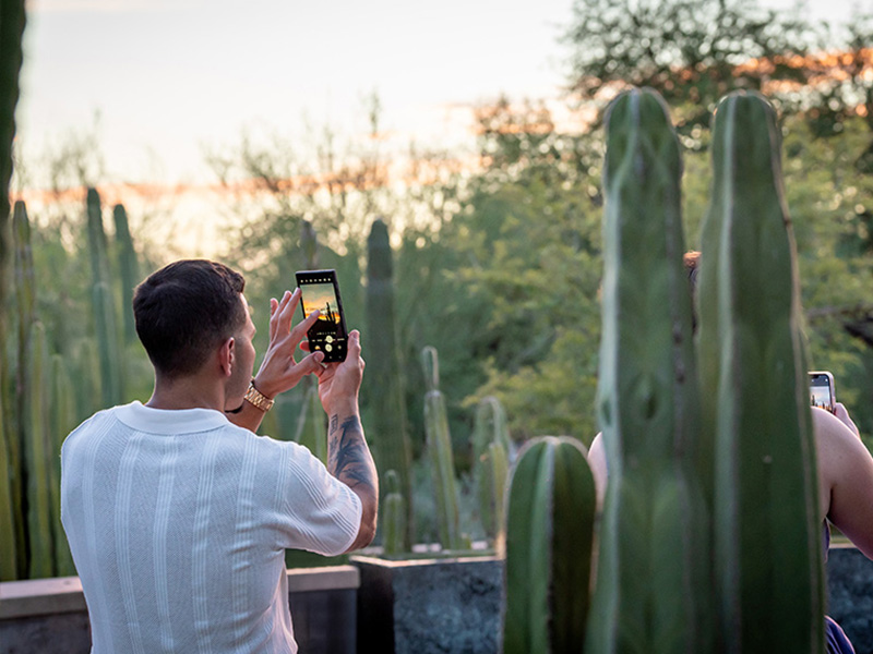 woman at desert botanical garden
