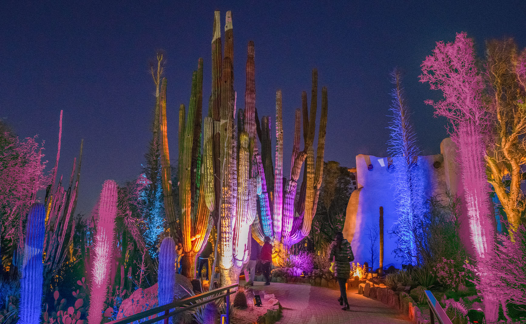 After Dark Feature Image 1