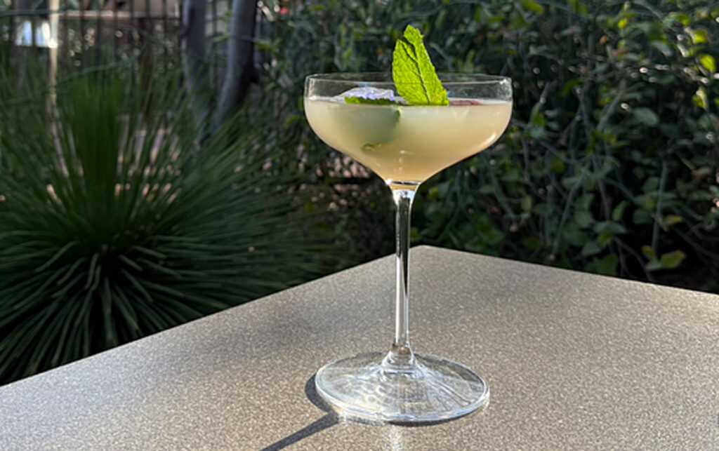 Queen of the Night Cocktail