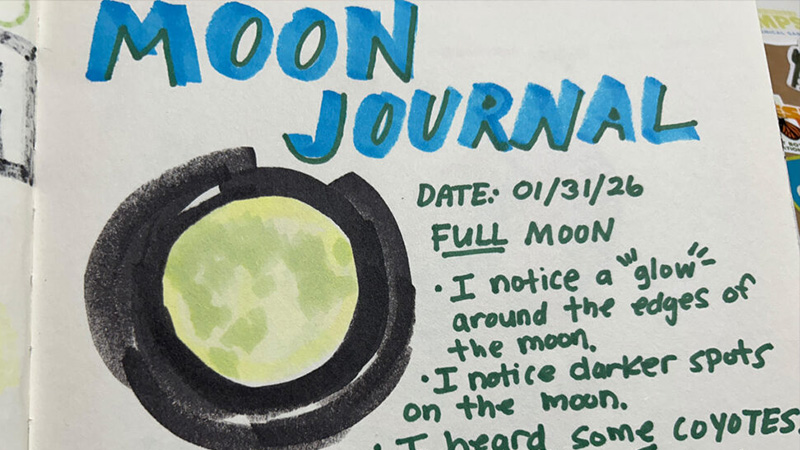 Cactus Clubhouse - build, play and create