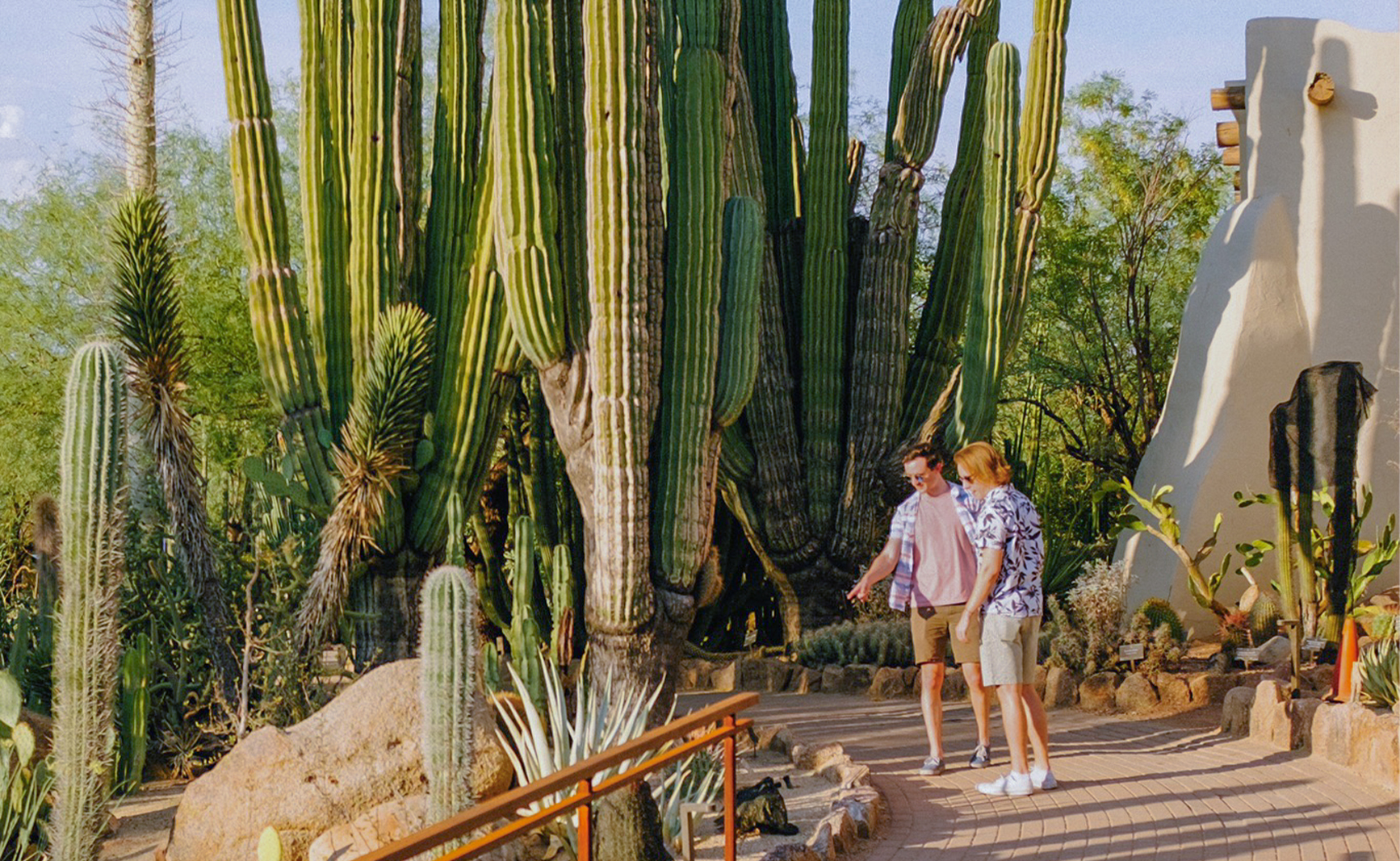 After Dark Feature Image 2