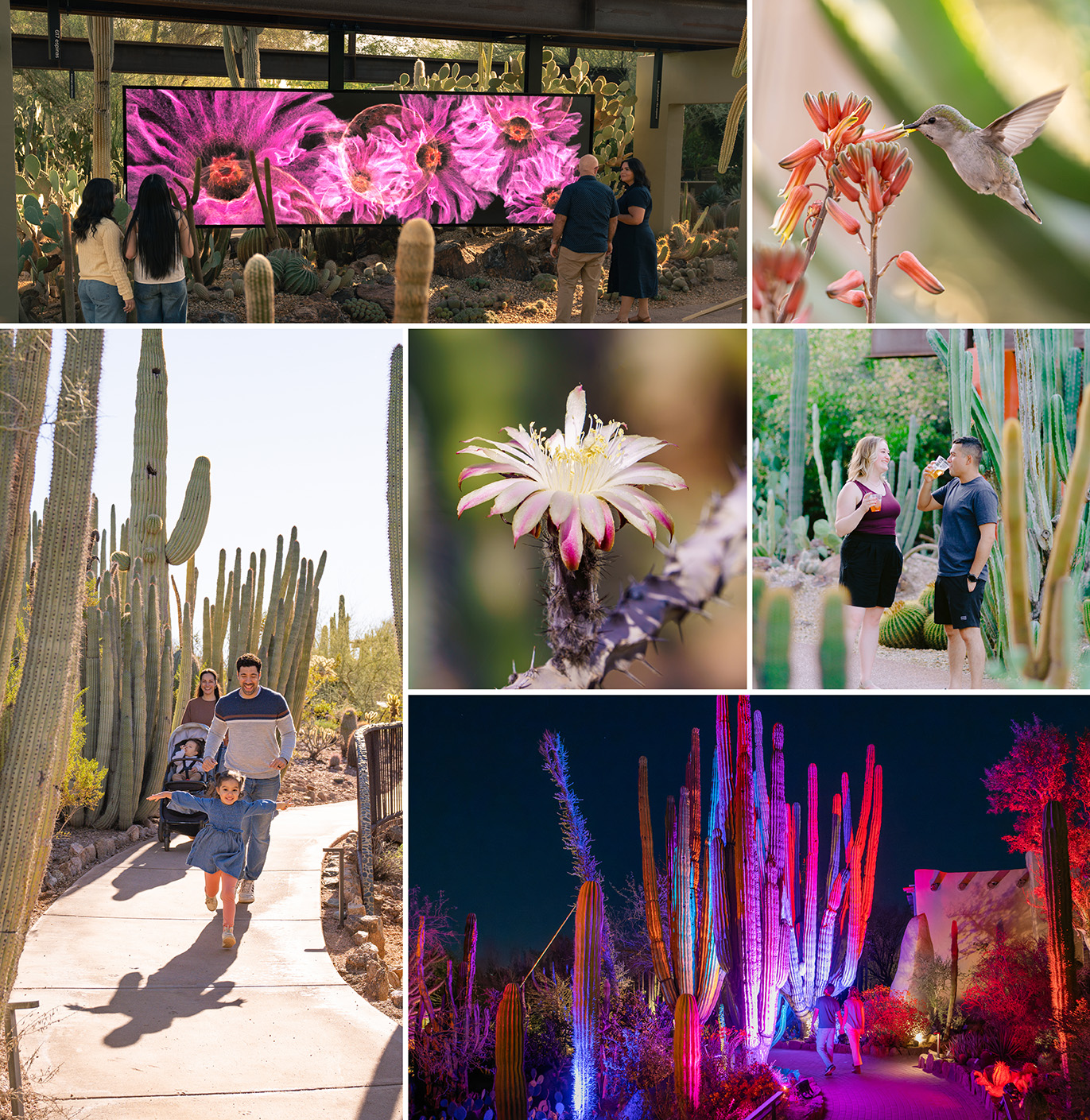 After Dark Feature Mobile_Collage