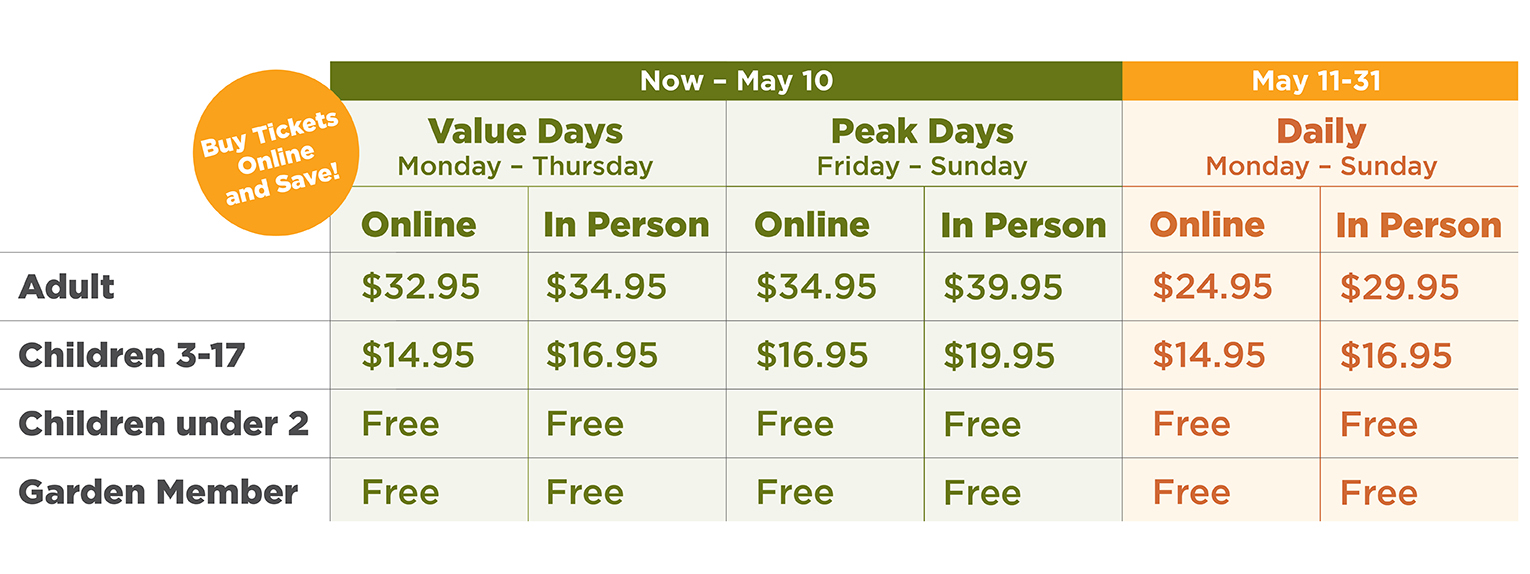 Price Chart Jan 2026