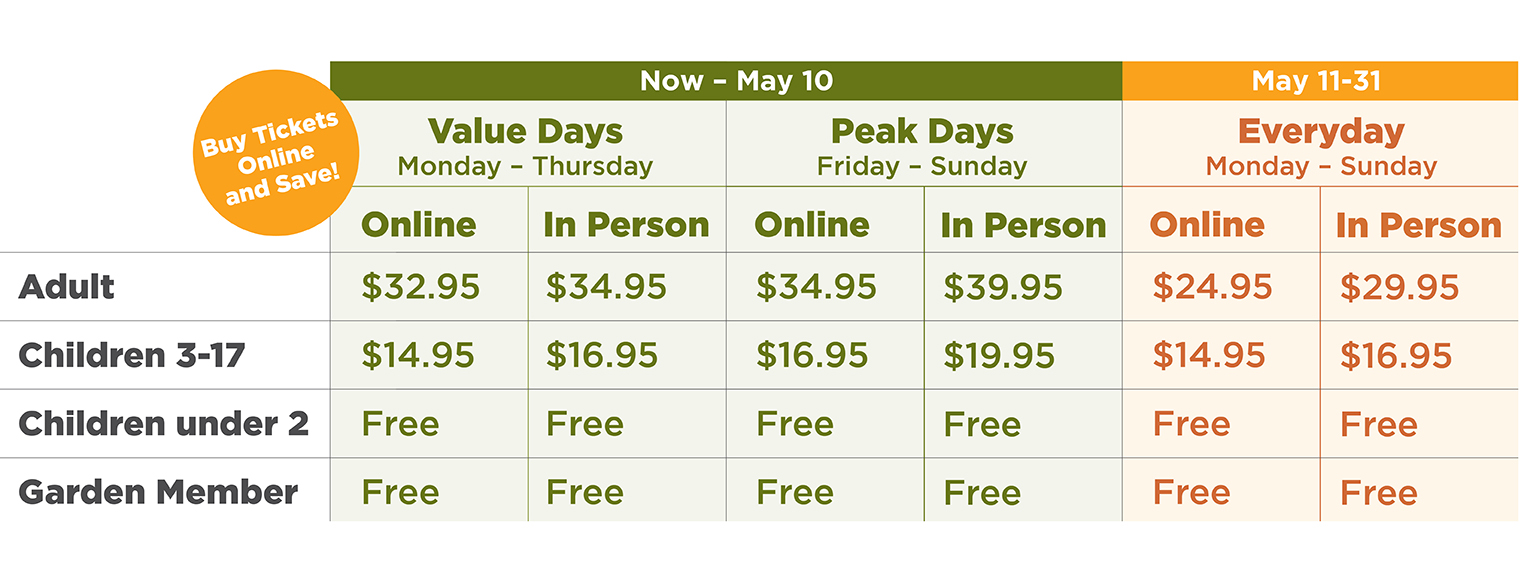 Price Chart Jan 2026