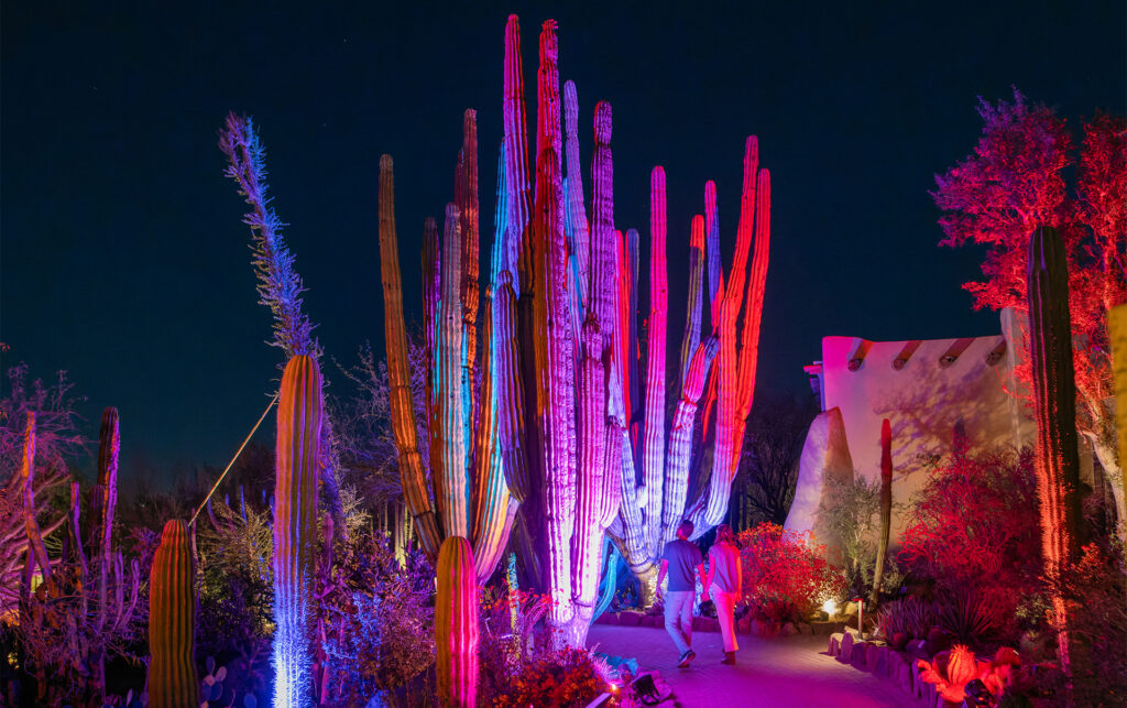 From Sunrise to Starlight: Experience the Garden Day and Night