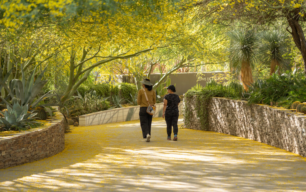 Palo Verde Fun Facts