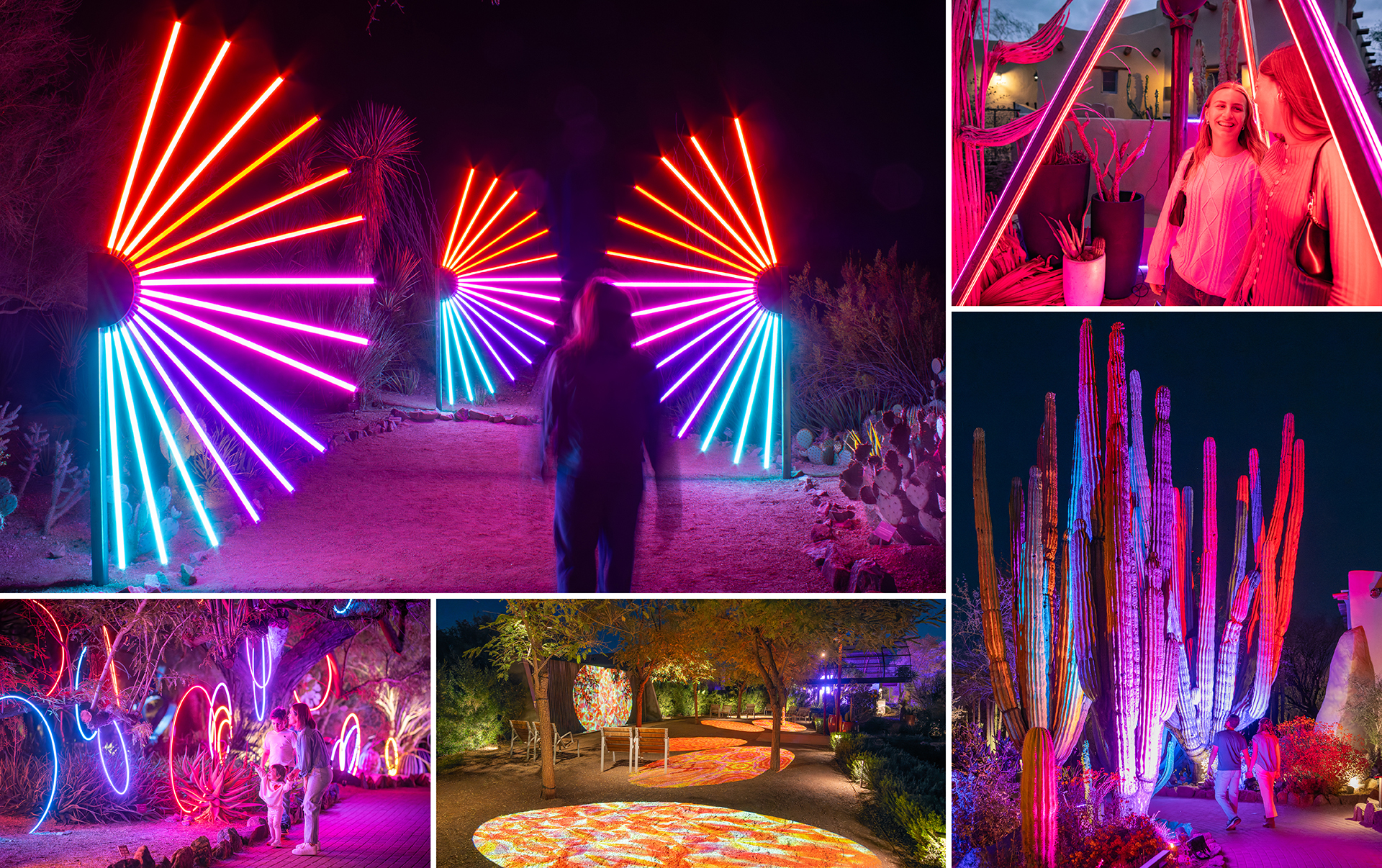 Summer AD_Gallery Collage