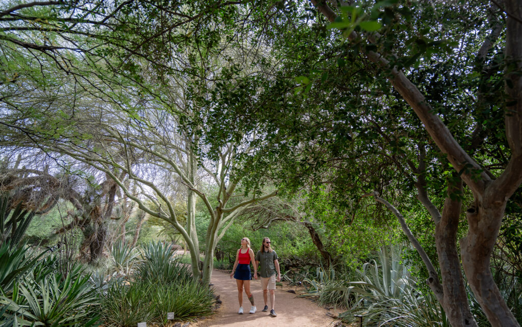 Arbor Day Planting & Pruning Tips