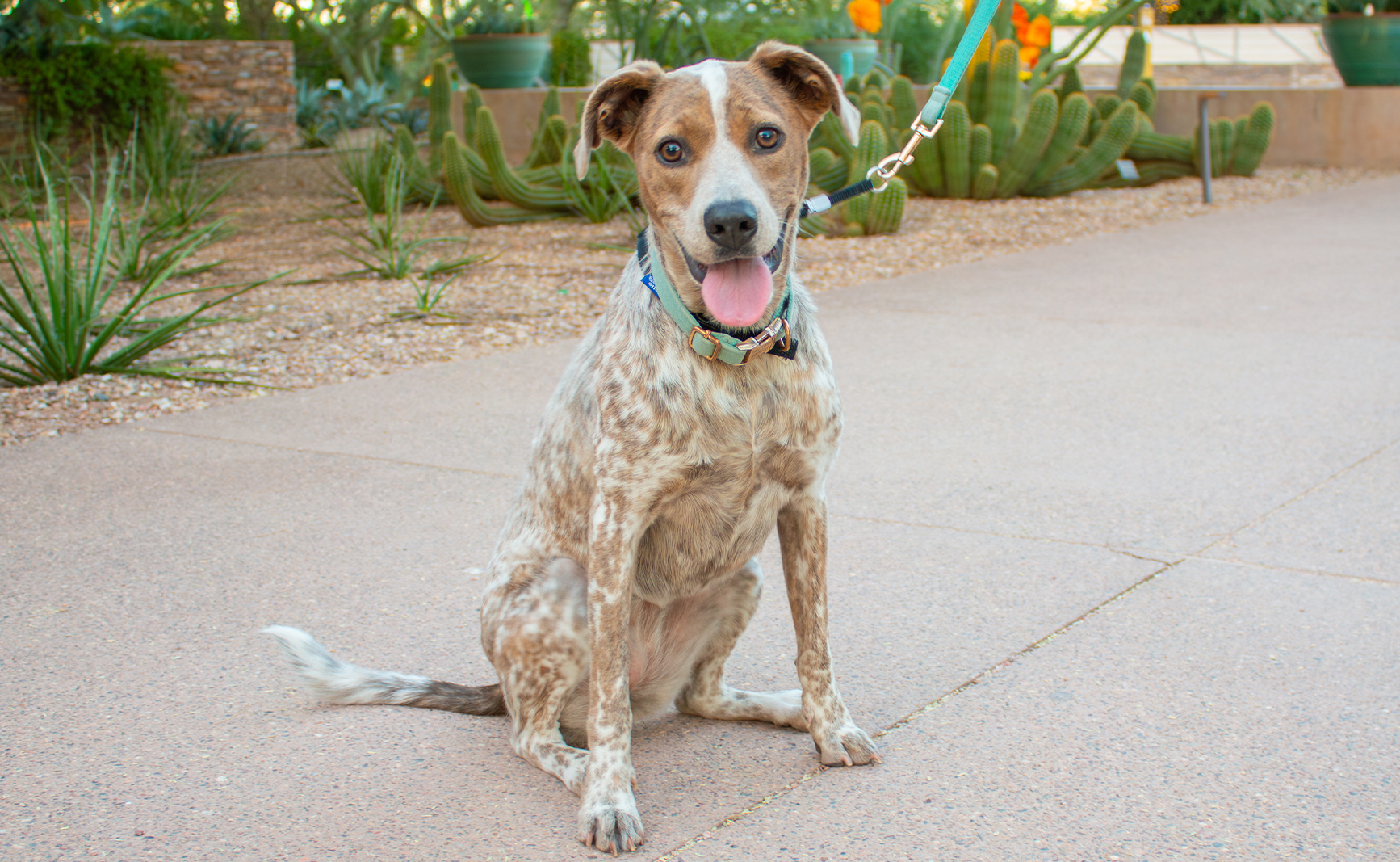 After Dark Feature Image 3