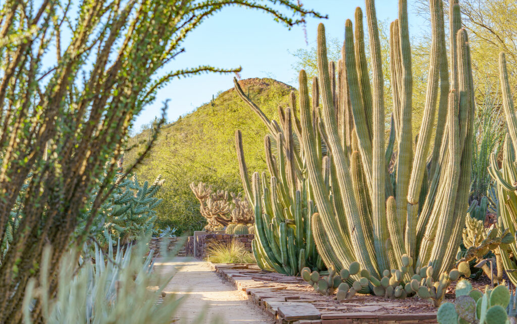 Hit the Road, Garden Members! Make the Most of Your Reciprocal Membership