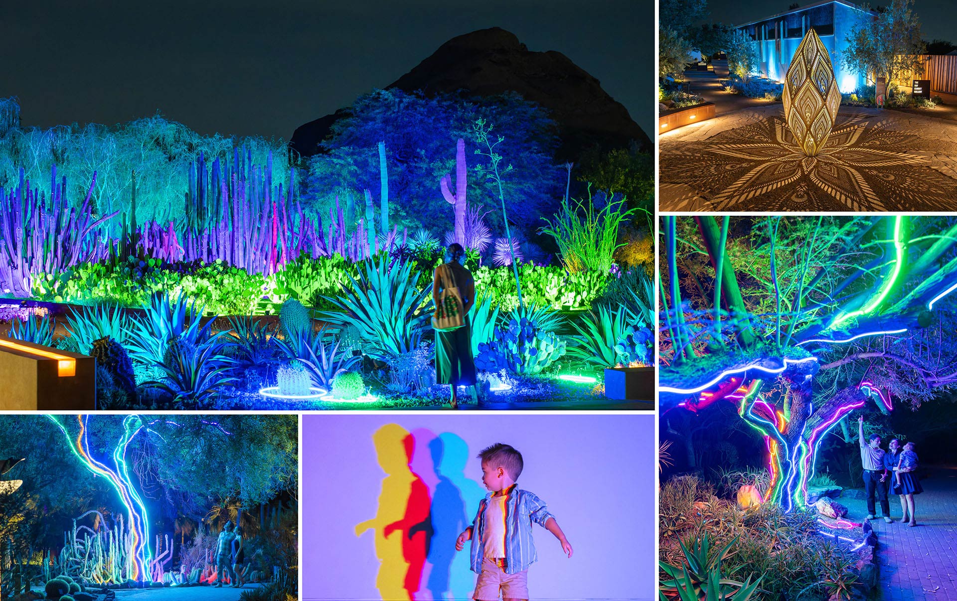 After-Dark-Web-Collage_Summer_June-3