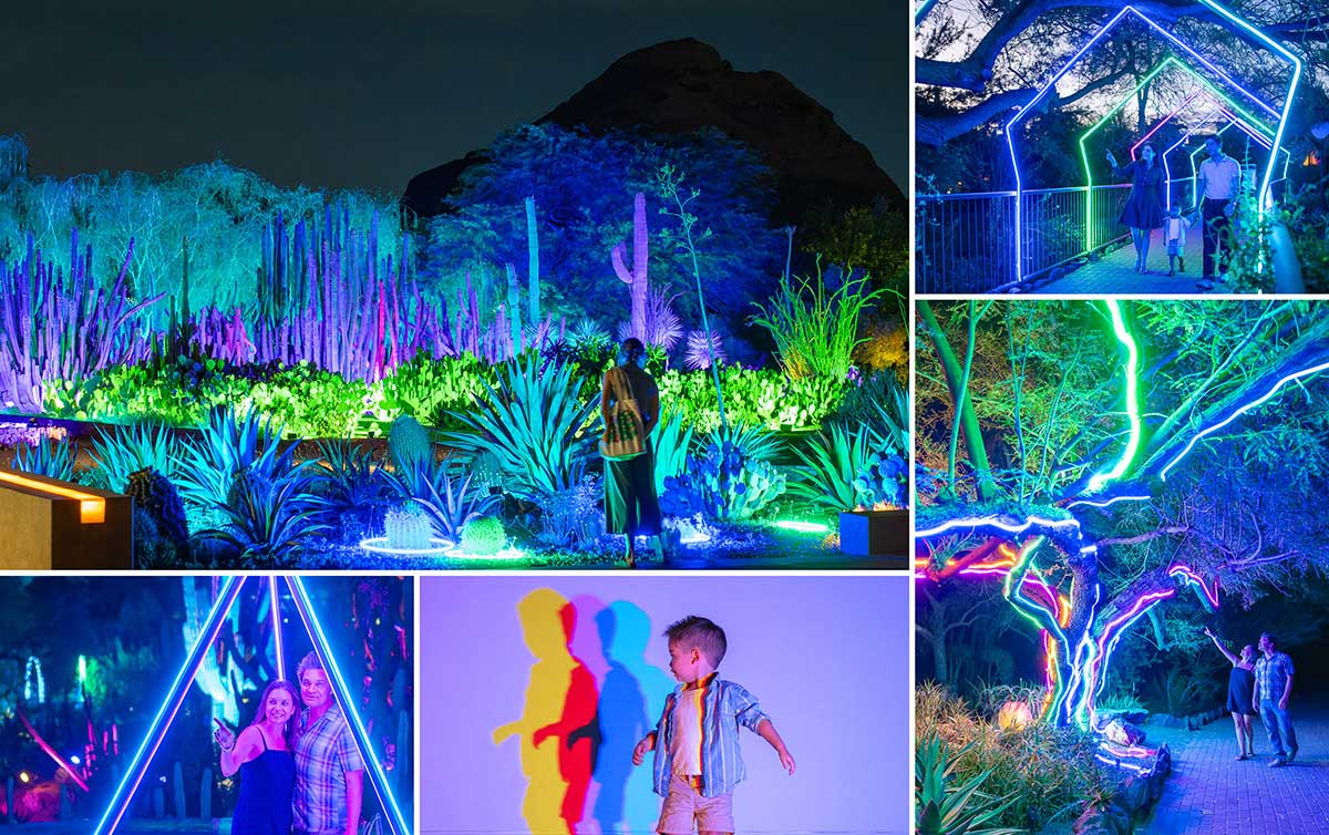 Desert Oasis Garden After Dark Opens with New Indoor Gallery, Light Installations