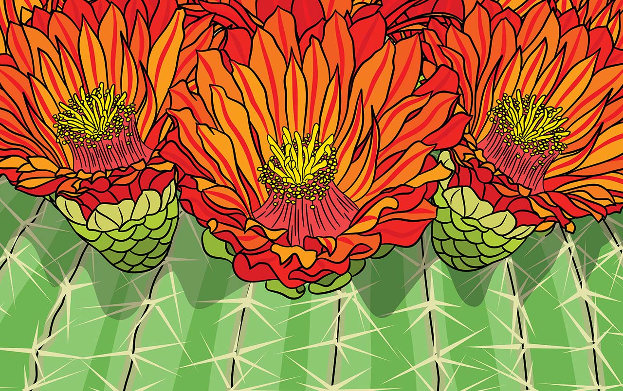 super-bloom-7