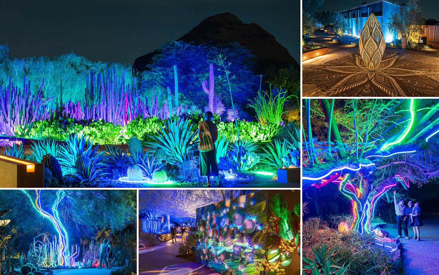 After-Dark-Web-Collage_Summer_June-3