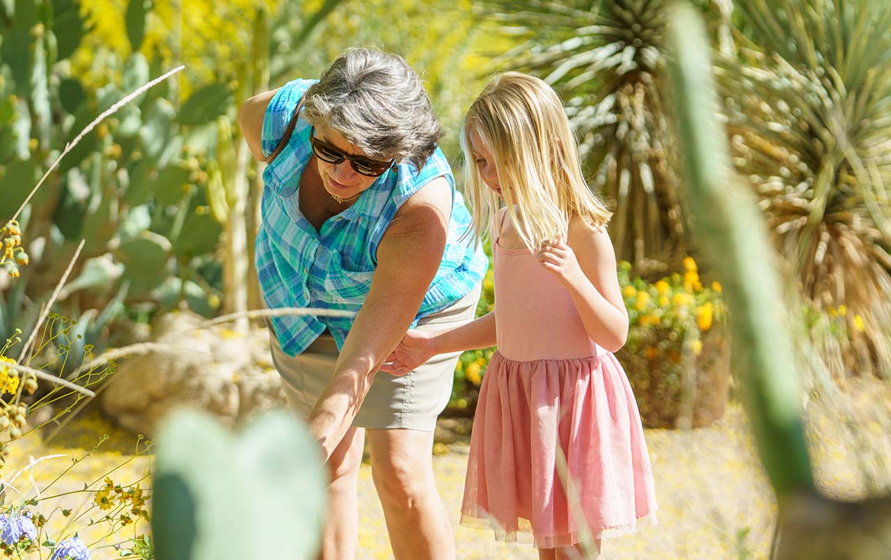 Flashlight Tours, Desert Botanical Garden