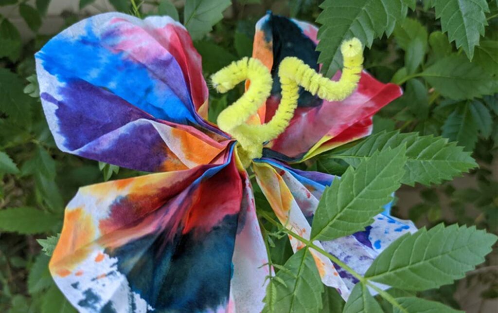 Activity | Butterflies In the Air