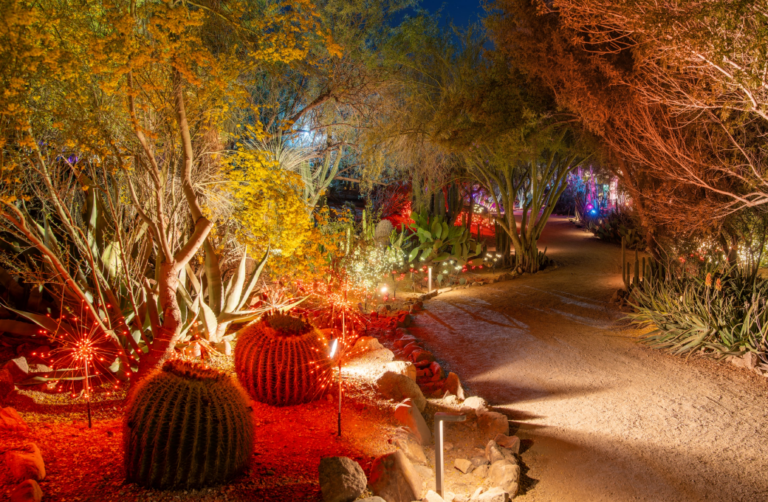 Fall Garden After Dark