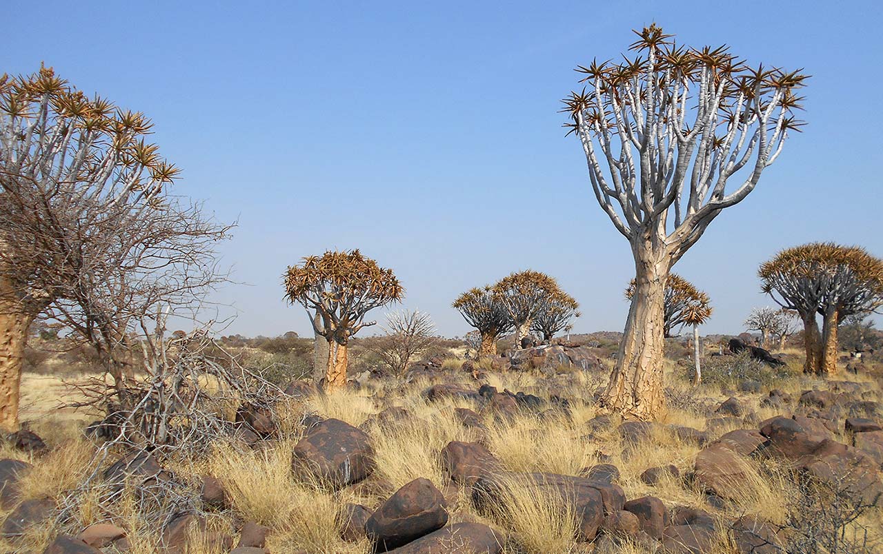 joe-namibia