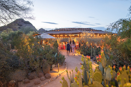 Outdoor Patio Dusk String Lights