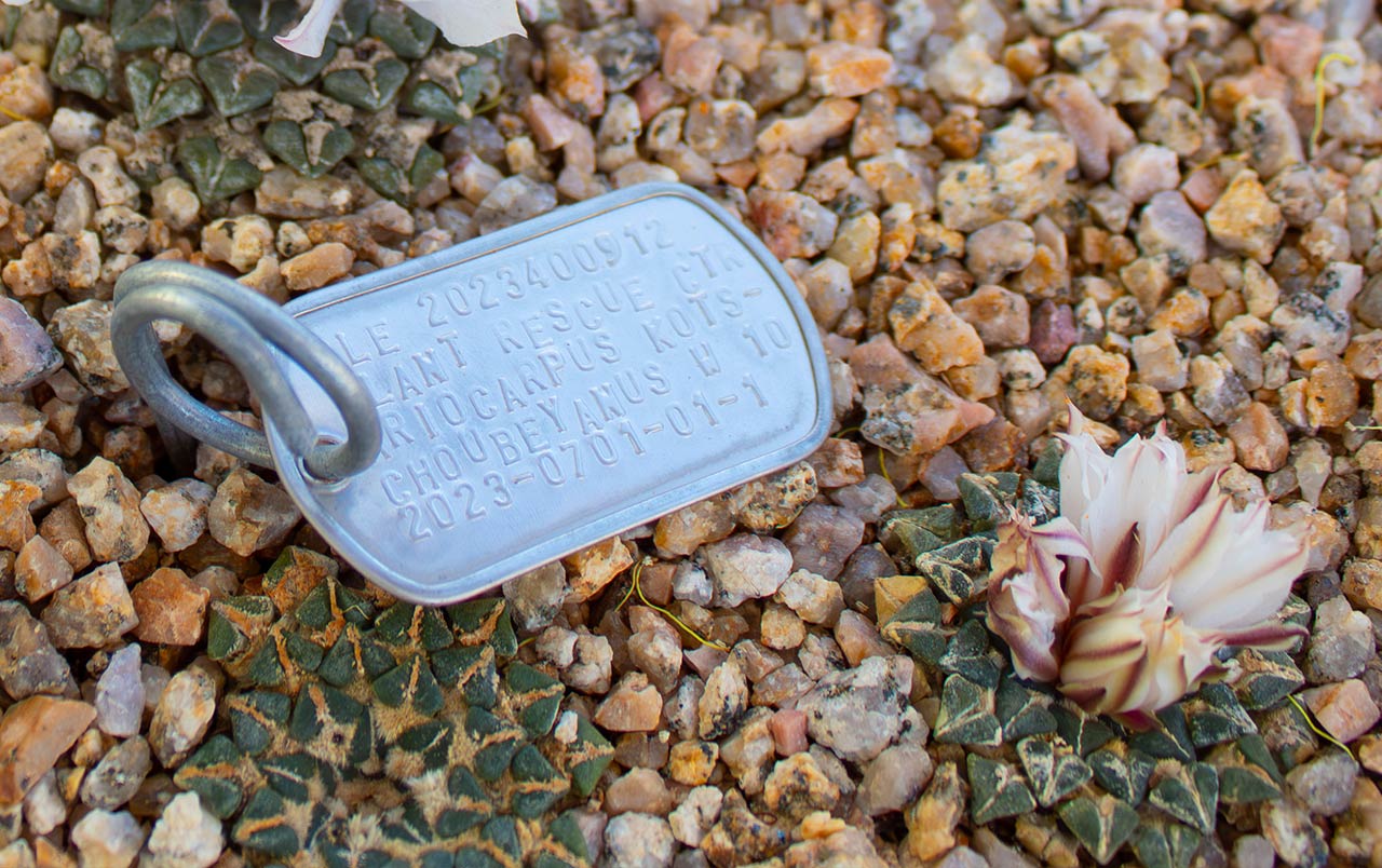 plant id tag