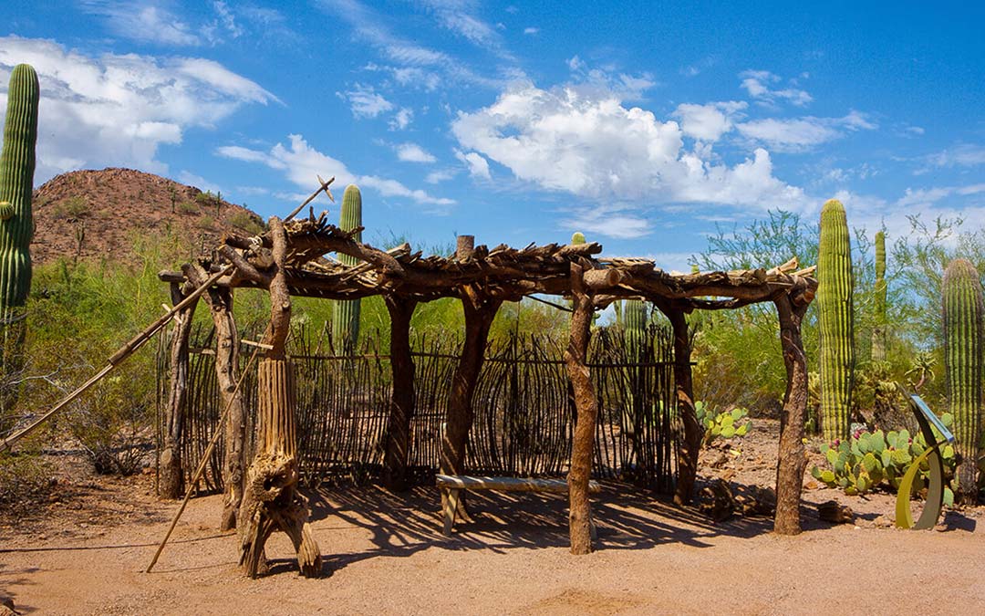 Plants & People of the Sonoran Desert Loop Trail