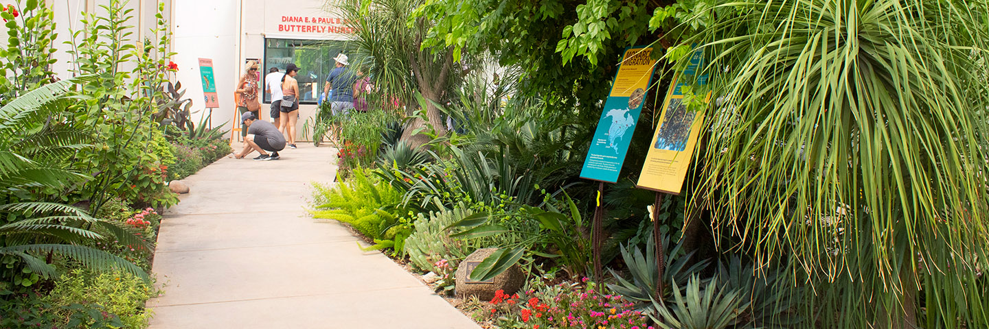 Butterfly Pavillion
