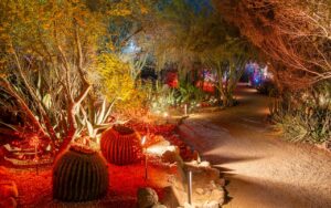 garden after dark