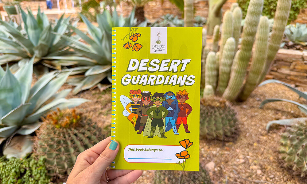 Desert Guardians Activity Booklet