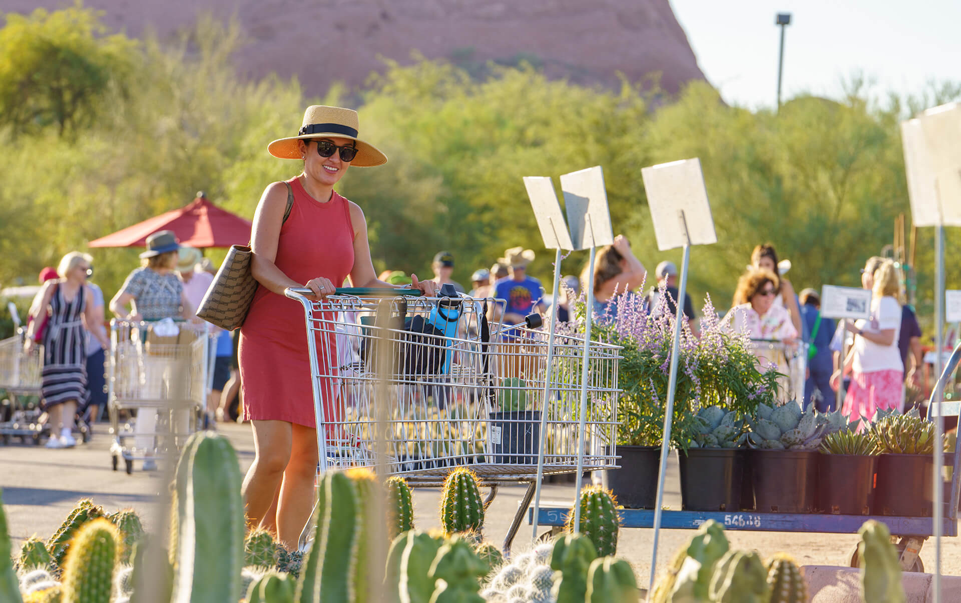 plant sale feature