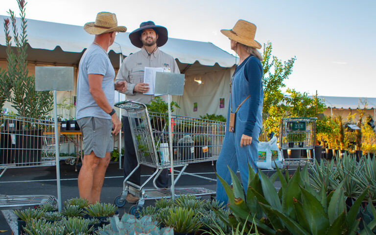 plant sale gallery