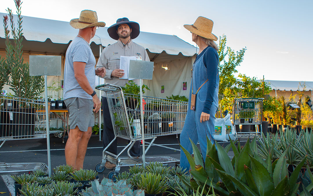 plant sale gallery