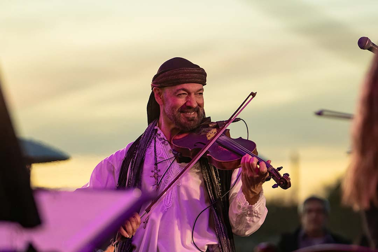 Music in the Garden: Concert Series