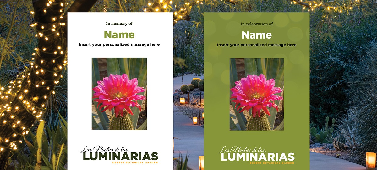 Purchase a Luminaria Tribute Bag
