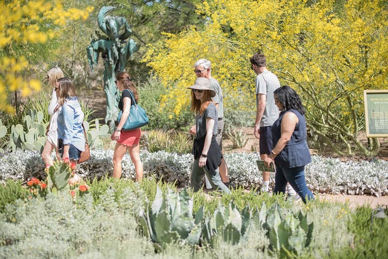 Visitors stroll through a sunny desert botanical garden, surrounded by cacti, yellow blooms, succulents, and a bronze sculpture.
