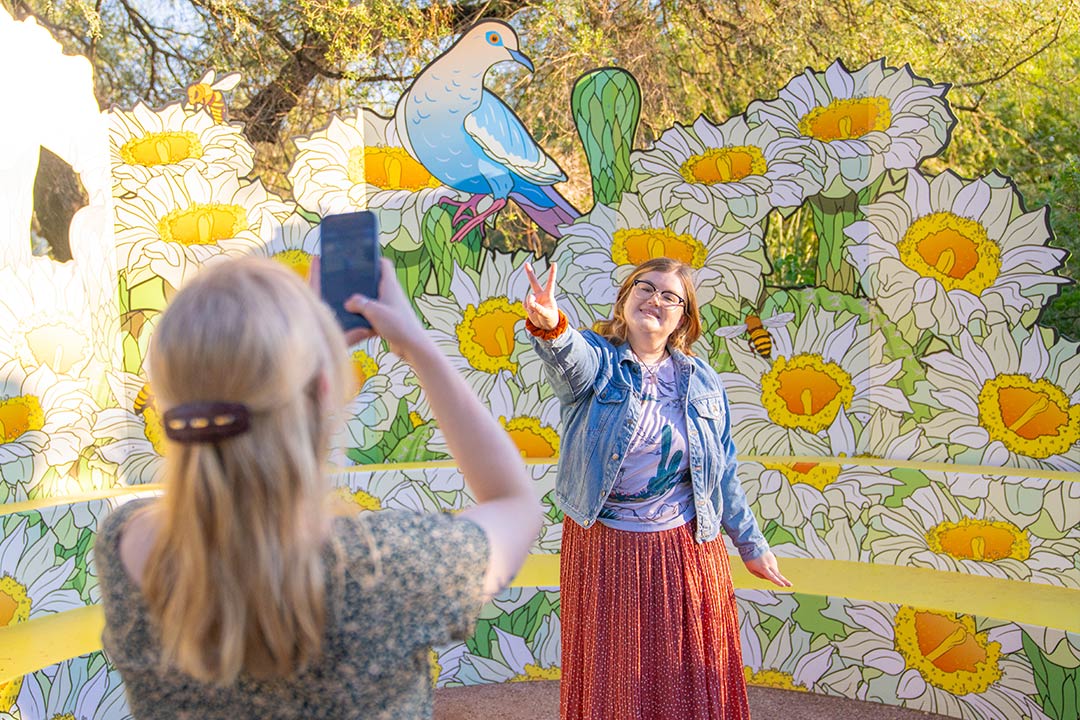 Super Bloom - Desert Botanical Garden