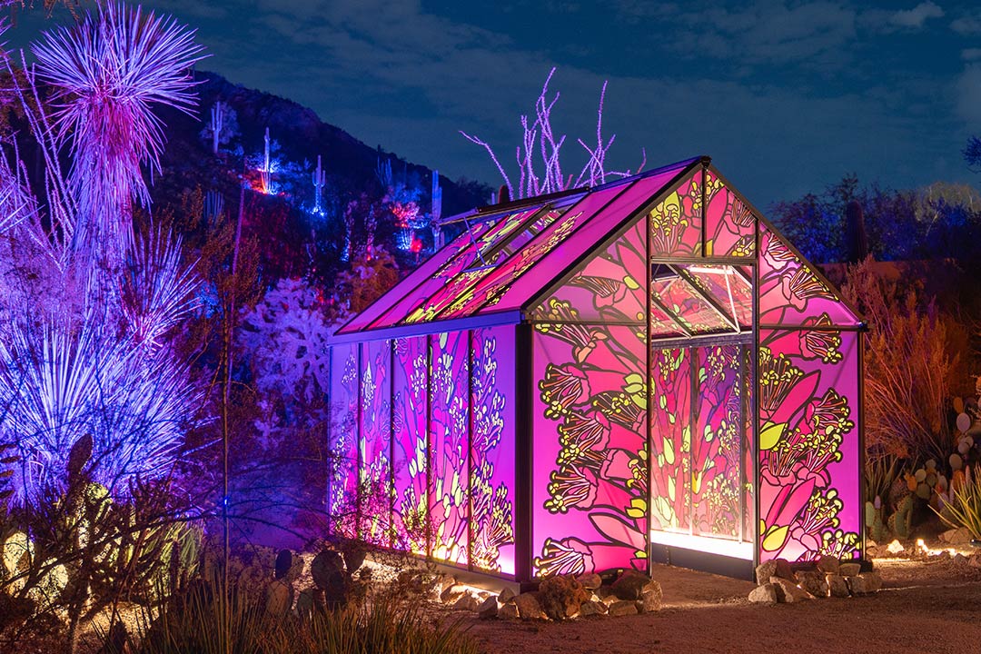 Super Bloom