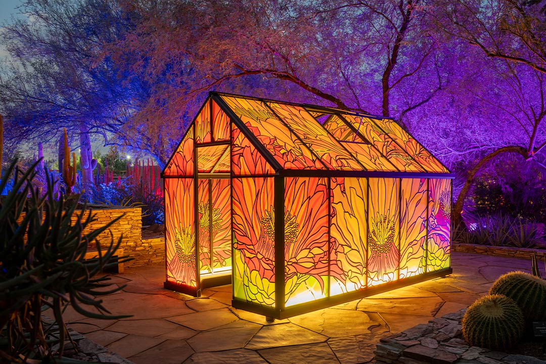 <a href="/super-bloom/"> Super Bloom Art Exhibit </a> 