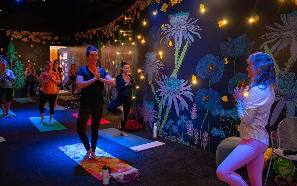Sunrise Sanctuary: Yoga Flow
